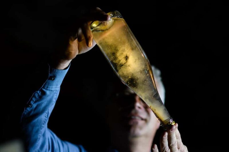 Cellar discovery tour with champagne tasting in Germany's oldest wine cellar - Key Points