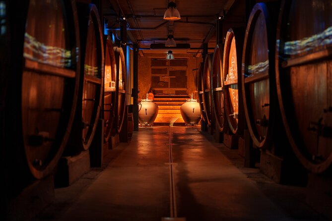 Cellar visit and "Wine time" (Tea Time around wine) - Why This Tour Stands Out