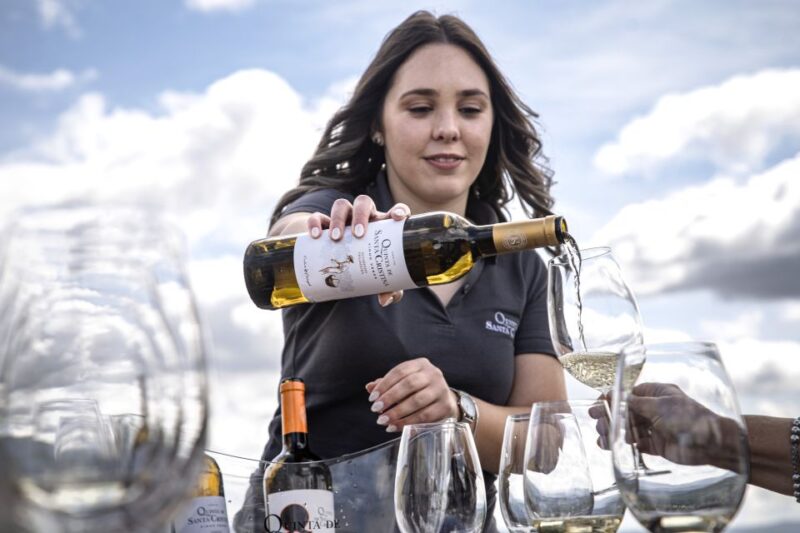 Celorico De Basto: Quinta de Santa Cristina Winery Tour - Exploring the Vineyard and Winery with Expert Guides