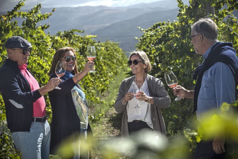 Celorico De Basto: Quinta de Santa Cristina Winery Tour - The Scenic Views of the Mountains and River