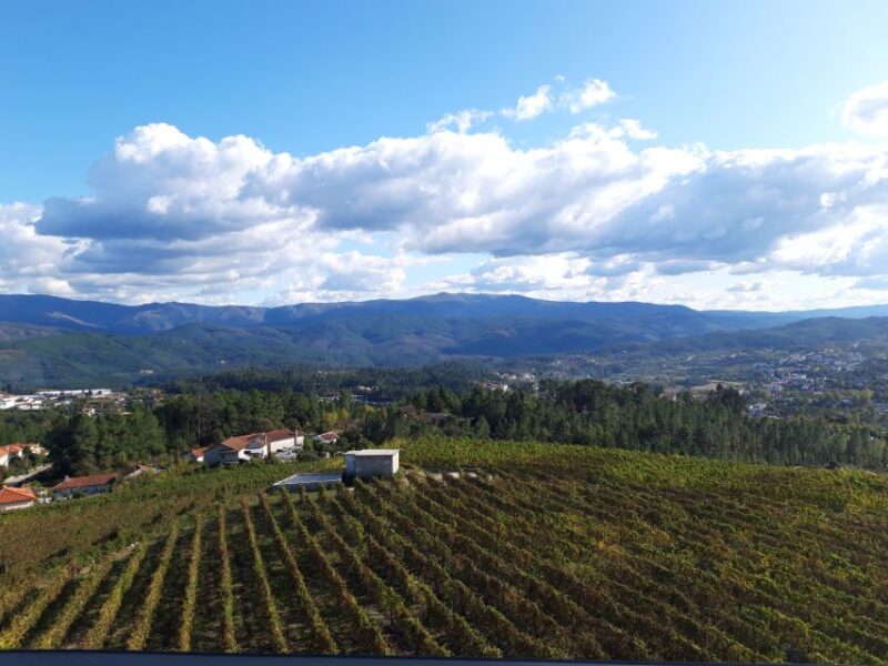 Celorico De Basto: Quinta de Santa Cristina Winery Tour - Practical Details: Meeting Points and Accessibility