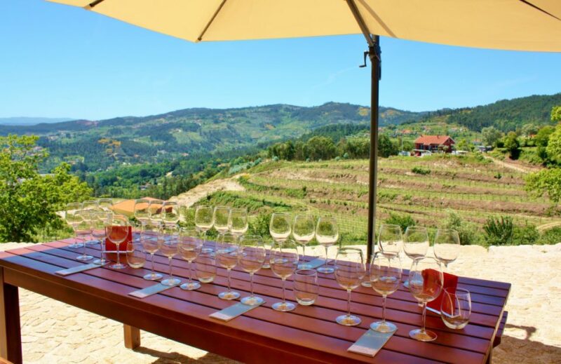 Celorico De Basto: Quinta de Santa Cristina Winery Tour - Why This Tour Is a Solid Choice for Wine Lovers and Sightseers