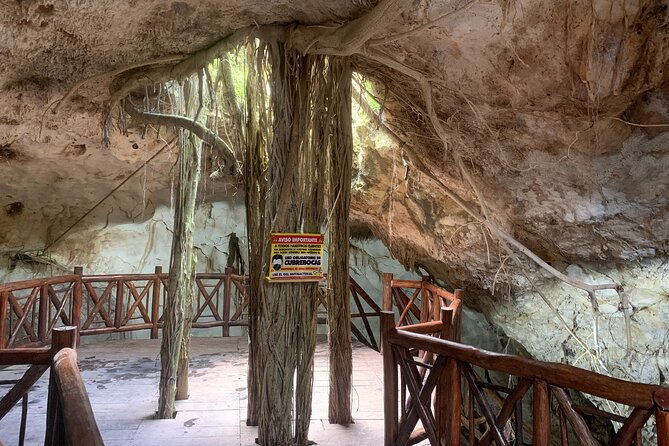 Cenote Adventure Tour - Discover the Cenote Adventure Tour in Progreso, Mexico