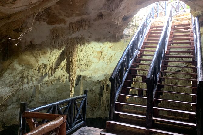 Cenote Adventure Tour - Reviews and Guest Feedback