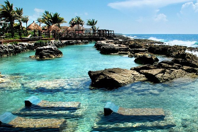 Cenote Cavern Tour and Swim with Sea Turtles in Akumal - The Unique Environment of the Cenotes