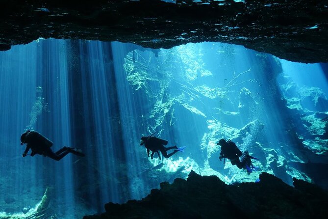 Cenote Diving - 2 Tank Dive Trip for Certified Divers - Reviews and Customer Satisfaction