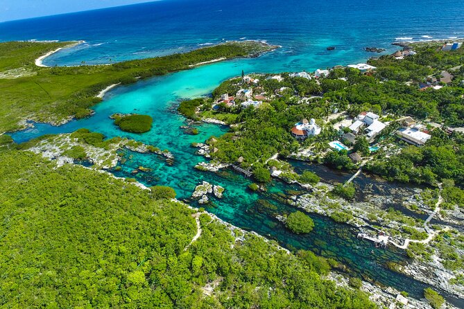 Cenote; Snorkeling and Photos with Colorful Fish - What to Expect: Snorkeling Among 35 Tropical Fish Species