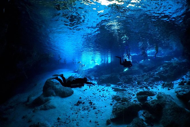 Cenotes 2-Tank Dive in Playa del Carmen/for certified divers only - Final Thoughts on the Cenotes 2-Tank Dive in Playa del Carmen