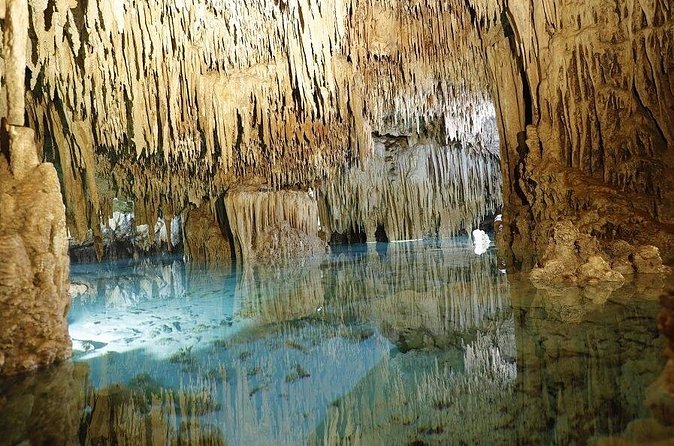 Cenotes and Paradise Lagoon - Practical Details: Transportation and Group Size