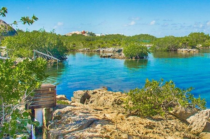 Cenotes and Snorkel - Logistics and Meeting Details