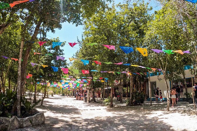 Cenotes Casa Tortuga: 4 Cenotes Day Pass All Inclusive - Key Points
