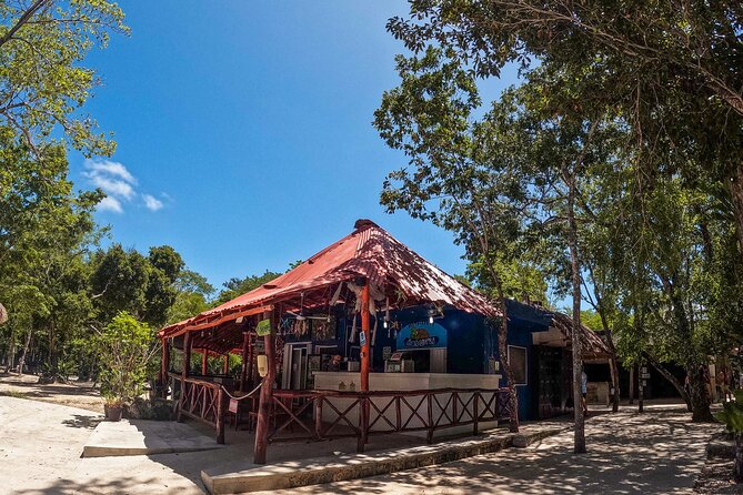 Cenotes Casa Tortuga: 4 Cenotes Day Pass All Inclusive - Convenient Meeting Point and Flexible Hours