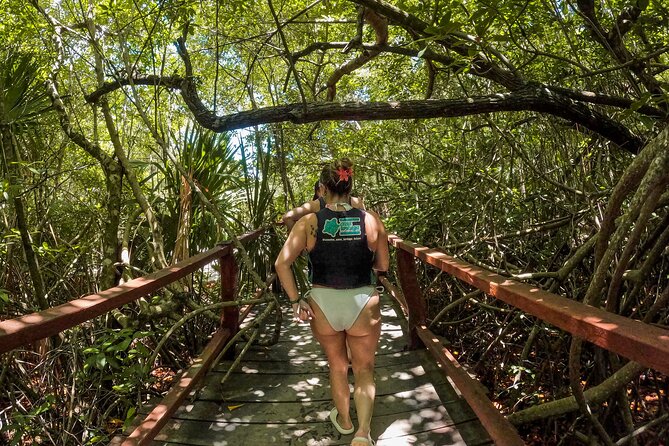 Cenotes Casa Tortuga: 4 Cenotes Day Pass All Inclusive - What Sets This Tour Apart in Tulum