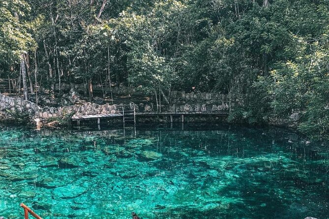 Cenotes Casa Tortuga - Free Time in Playa del Carmen: Beaches and Shopping