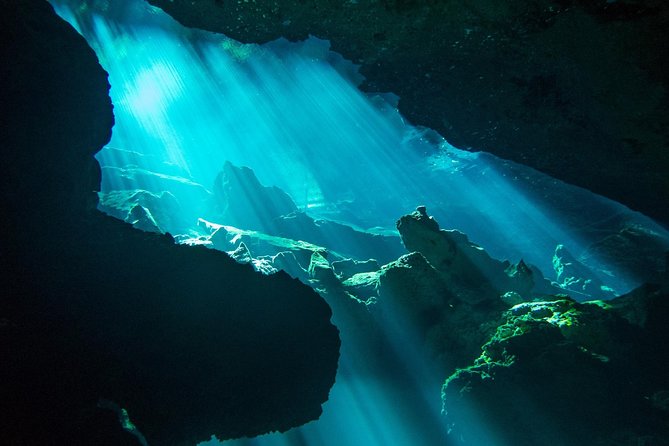 Cenotes diving - The Unique Features of This Cenote Diving Experience
