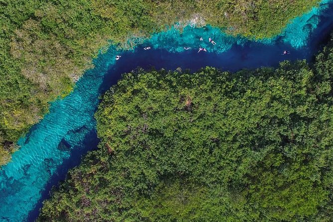 Cenotes diving - Why Choose This Cenote Diving Tour?