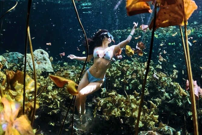 Cenotes Photos Shoot - Discover the Cenotes Photos Shoot Tour in Playa del Carmen