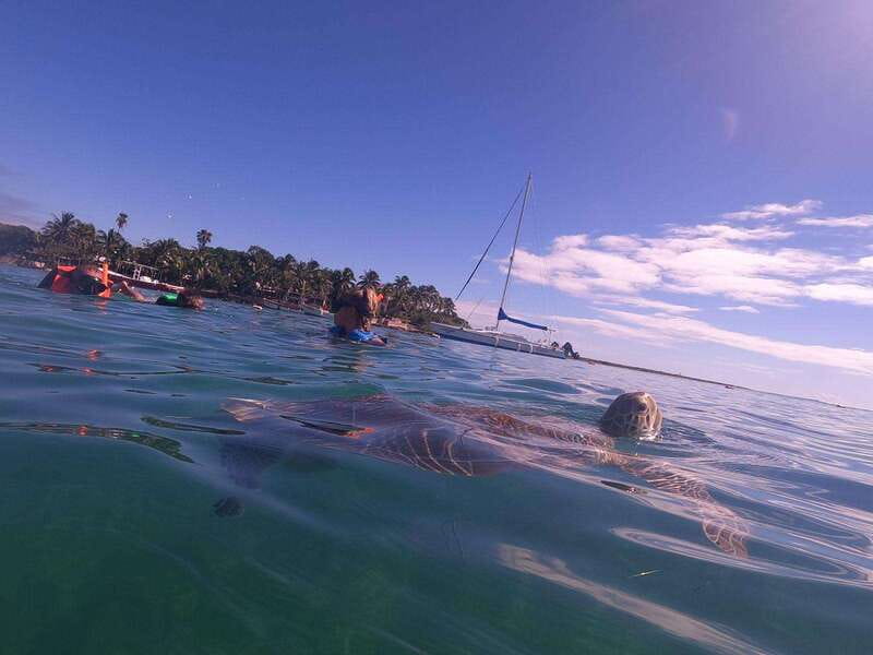 CENOTES TULUM/AKUMAL: 4 Cenotes in Mayan community and snorkeling with turtles - Value and Inclusion of Activities