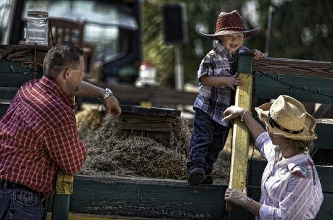 Central Florida Haunted Hayride - Practical Details and Accessibility