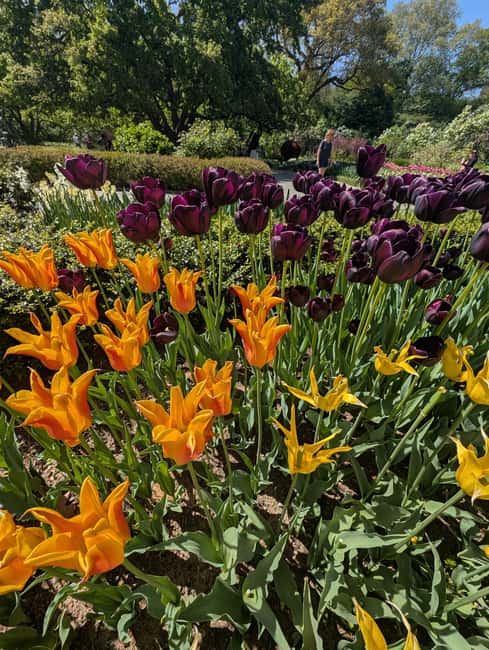 Central Park 5 Star Walking Tour led by Manhattan residents! - Included Essentials: Water and Sun Protection
