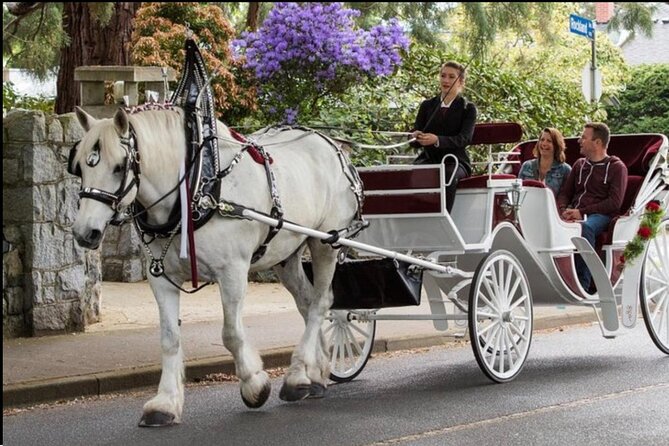 Central Park and NYC Private Horse Carriage Ride - The Charm of a Private Horse-Drawn Carriage through Central Park