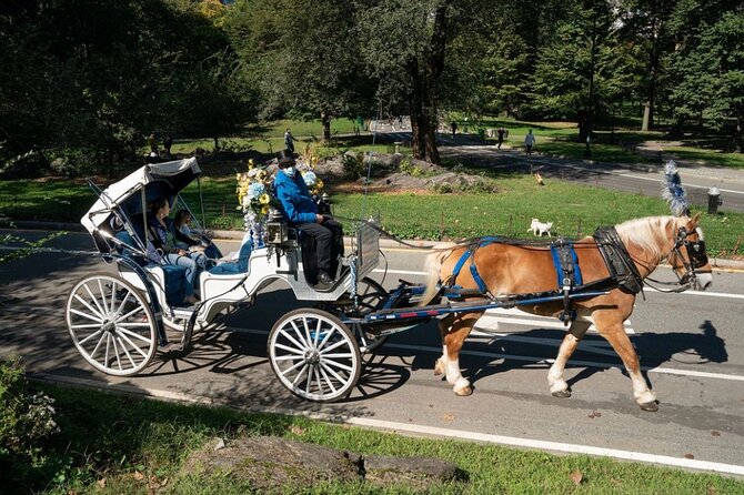 Central Park and NYC Private Horse Carriage Ride - The Guides and Their Knowledge