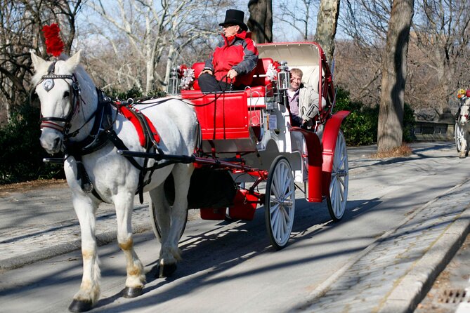 Central Park and NYC Private Horse Carriage Ride - Practical Details: Booking, Group Size, and Cancellation Policy