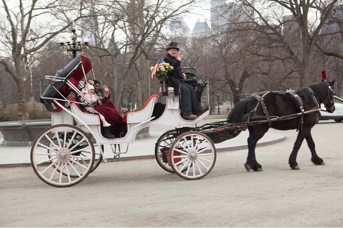 Central Park and NYC Private Horse Carriage Ride - Who Will Love This Tour