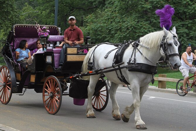 Central Park and NYC Private Horse Carriage Ride - Central Park Horse Carriage Ride: Final Thoughts