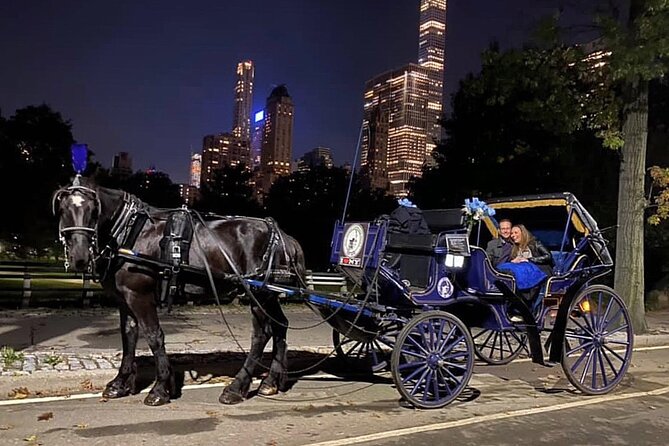 Central Park Carriage Ride w/ Drop Off @ Tavern On Green (45 min) - Winter Comforts and Accessibility Features