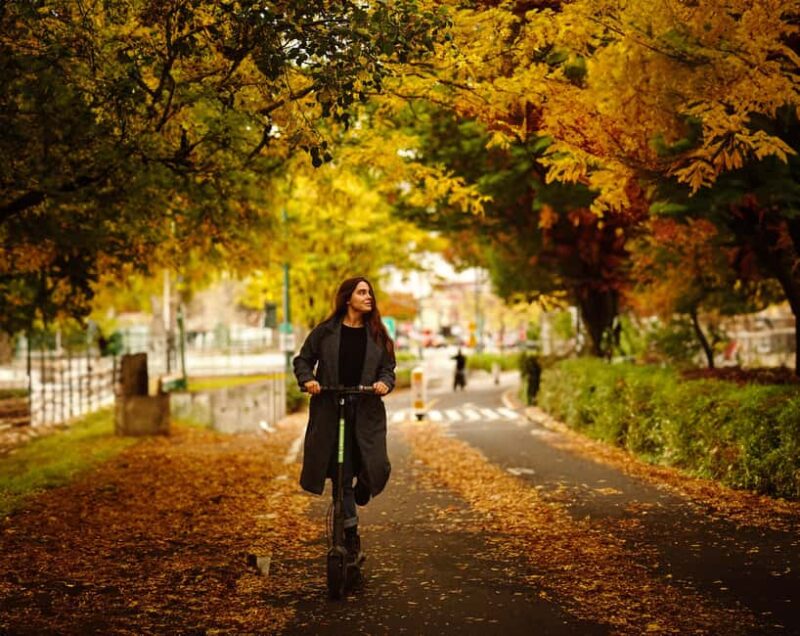 Central Park Escooter Rentals - Central Park Escooter Rentals: An Efficient Way to Cover the Park