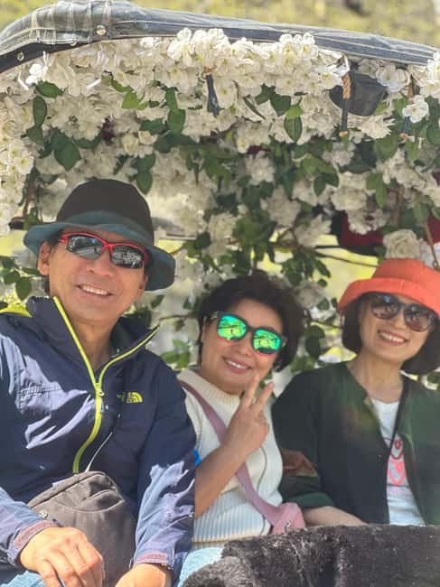 Central Park: Guided 1.5-hour Movie & Celebrity Pedicab Tour - Final Thoughts on the Central Park Movie & Celebrity Pedicab Tour