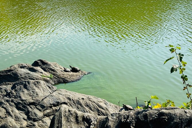 Central Park Guided Pedicab Tour in New York - Honoring the Hero Dog at the Balto Statue