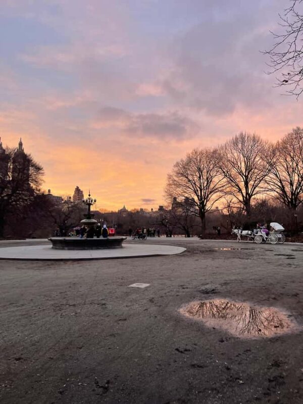 Central Park: Guided Pedicab Tour With Photo Stops - Discover Central Park in Comfort with a Private Guided Pedicab or Carriage Tour