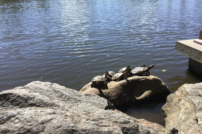 Central Park Guided Walking Tour - What Sets This Tour Apart from Others