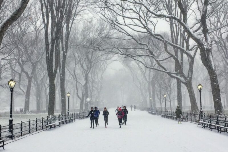 Central Park: Highlights Running Tour - Booking, Cancellation, and Practical Tips