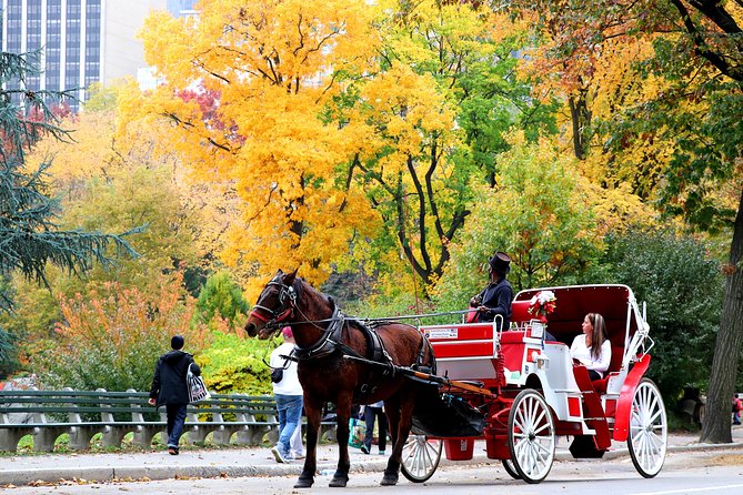 Central Park Horse Carriage Ride Short Loop (Up to 4 Adults)) - Ride Duration and Pacing