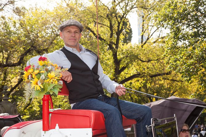 Central Park Horse Carriage Ride Short Loop (Up to 4 Adults)) - The Experience of the Guides and Horses
