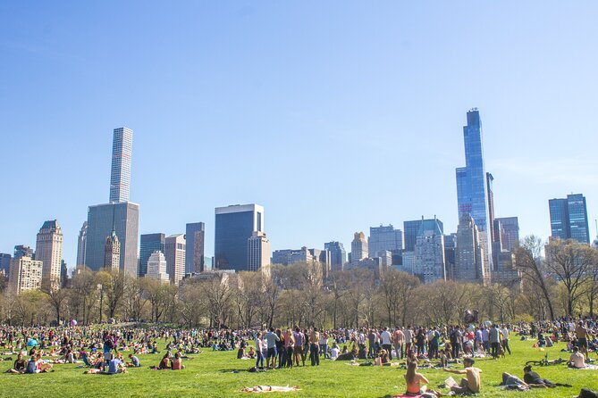 Central Park Intervention Shared Walking Tour - Practicalities and Accessibility