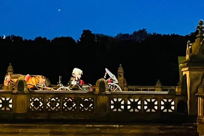 Central Park Moonlight Tour with Photo (45 min) ~ Skip the line - Included Features: Comfort and Photos