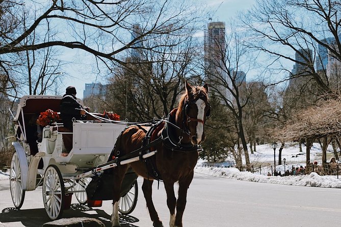 Central Park New York - Exclusive Guided Walking Tour - Key Points