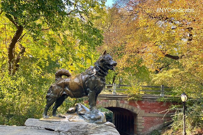 Central Park Pedicab Rickshaw Tours - Why Choose This Central Park Pedicab Tour?