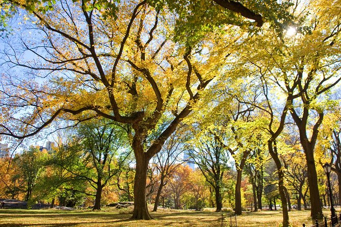 Central Park Photography Tour with Local Photographer - Key Points