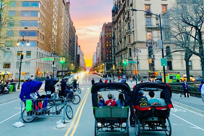 Central Park privet pedicab delux tour -1 hour - Highlights of the Central Park Pedicab Tour