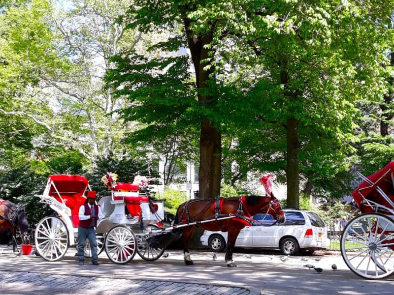 Central Park Promenade - What to Bring and How to Prepare