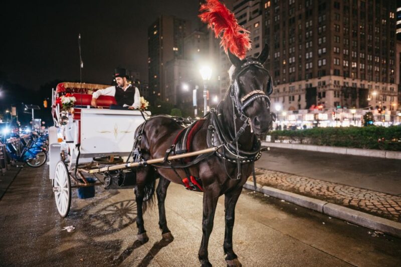 Central Park, Rockefeller & Times Carriage Ride (4 Adults) - The View of Rockefeller Center and Its Surroundings