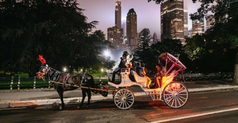 Central Park, Rockefeller & Times Carriage Ride (4 Adults) - Practicalities and Comfort Features