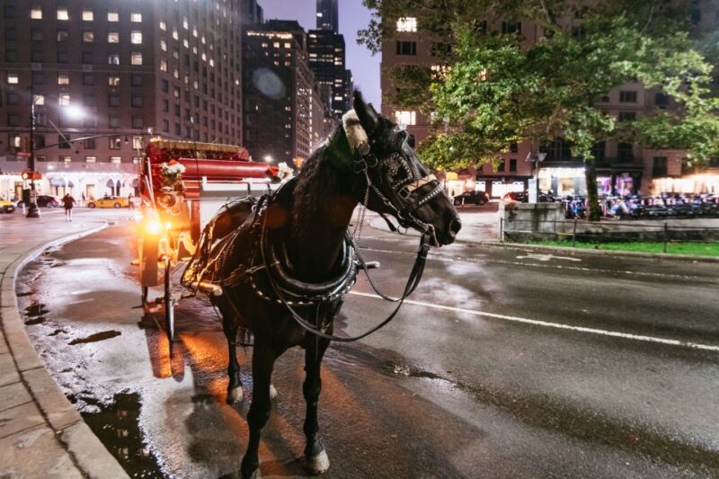 Central Park, Rockefeller & Times Carriage Ride (4 Adults) - The Experience Provider and Customer Satisfaction