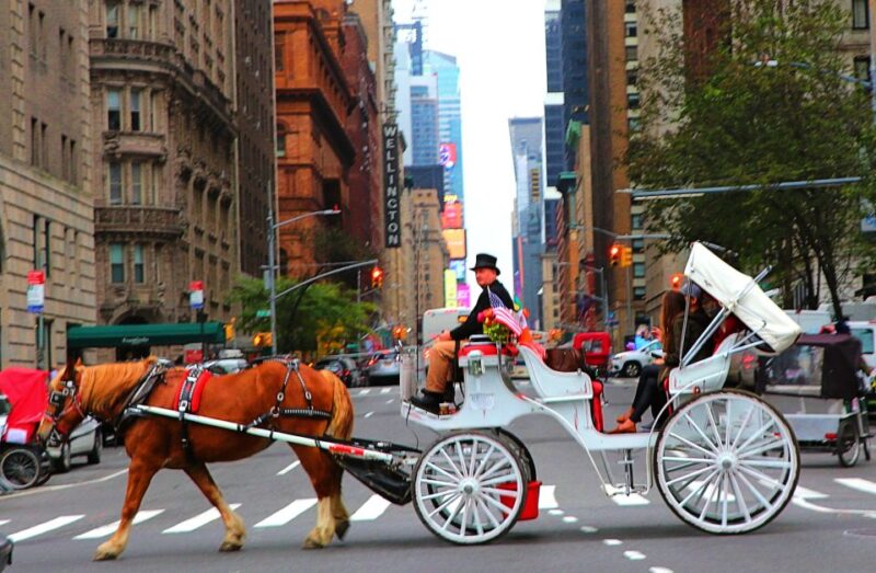 Central Park: Short Horse Carriage Ride (Up to 4 Adults) - Discover Central Park on a Private Horse Carriage Ride for Up to Four Adults