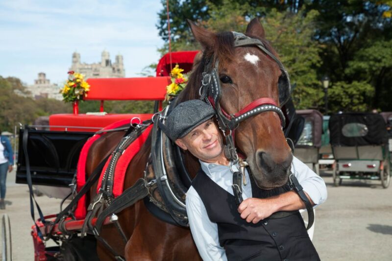 Central Park: Short Horse Carriage Ride (Up to 4 Adults) - Experience the Charm of Central Park in a Horse-Drawn Carriage